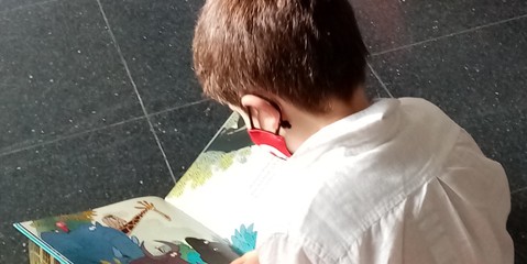 nens i nenes mirant llibres al carrer